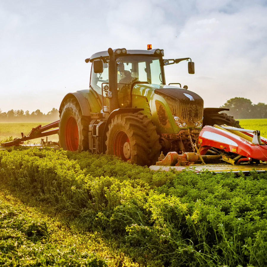 Agricultures & Food